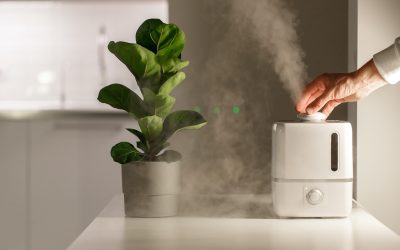 The Home Air Quality Guide: Enhancing the Breath of Your Home